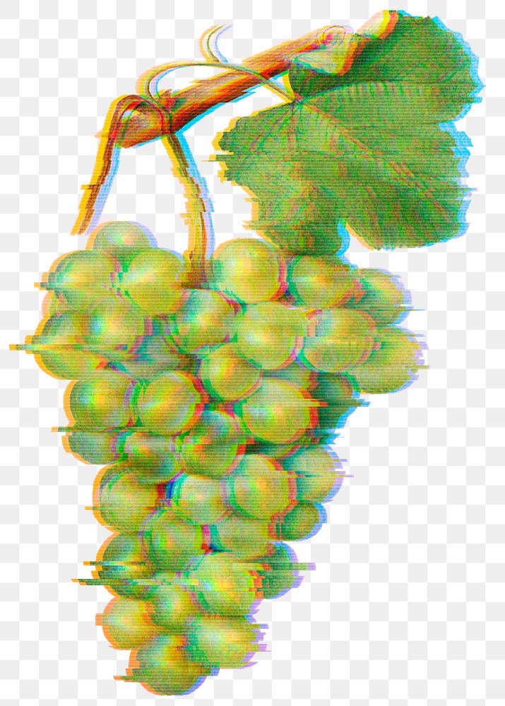 Green grapes with glitch effect design element