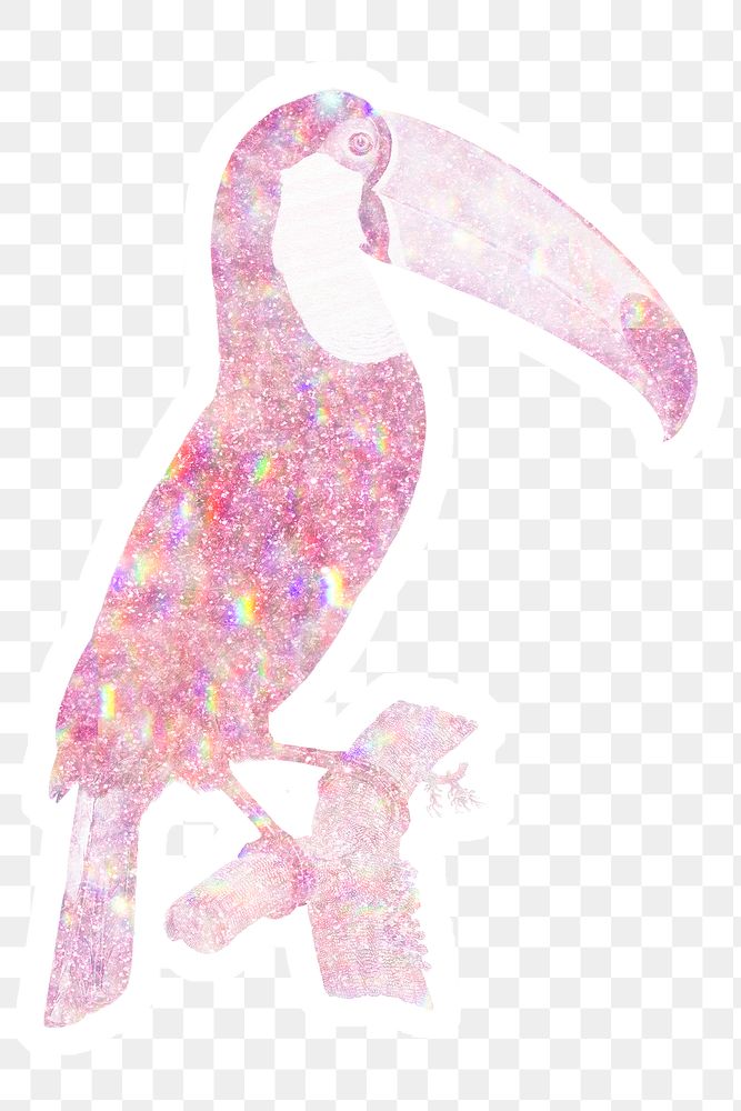Pink holographic Toco toucan bird sticker with white border