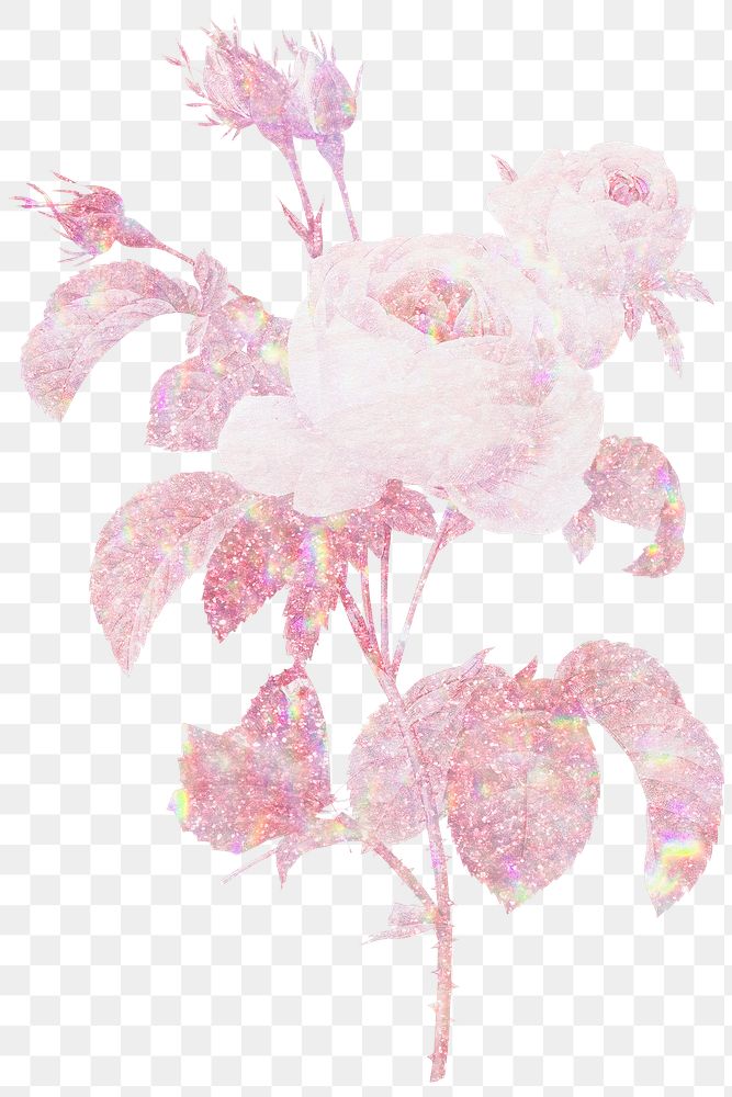 Pink holographic cabbage rose flower design element