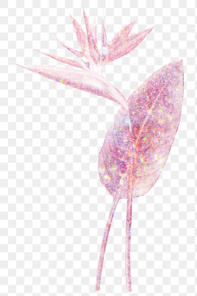 Pink holographic  bird of paradise flower design element