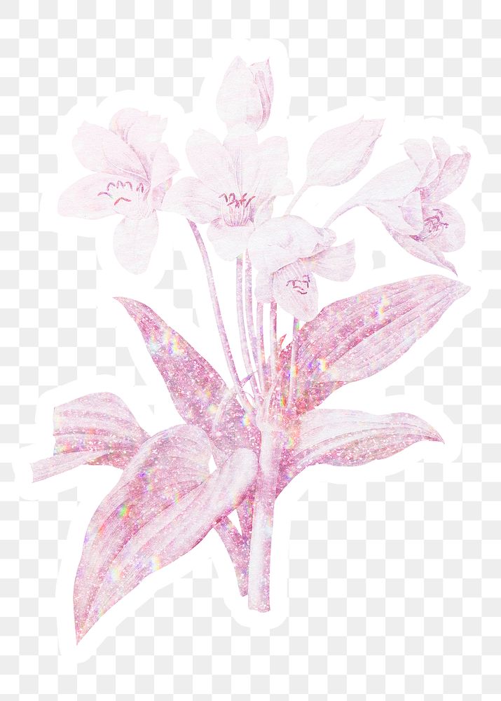 Pink holographic crinum sticker with a white border