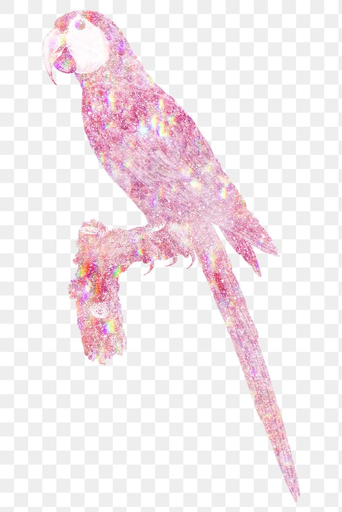 Pink holographic macaw design element