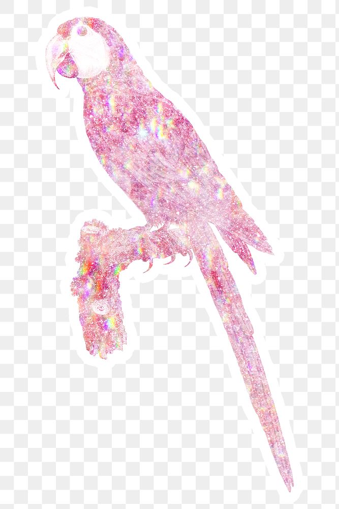Pink holographic macaw sticker with a white border