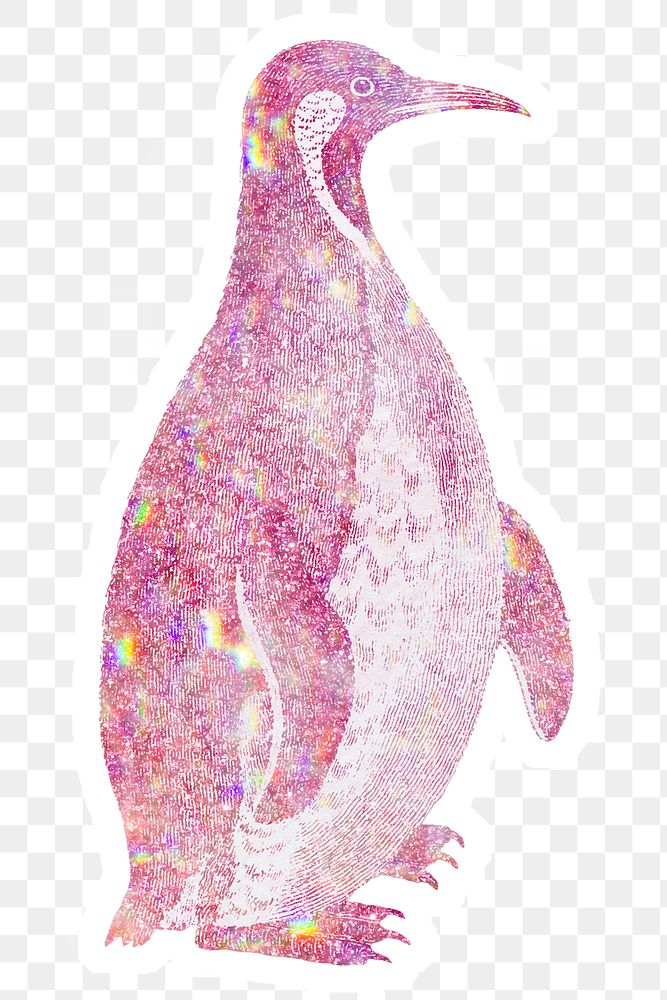 Pink holographic Magellanic penguin sticker with a white border