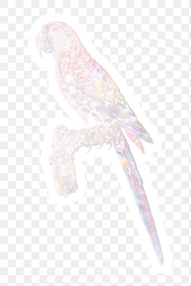Silvery holographic macaw sticker with a white border