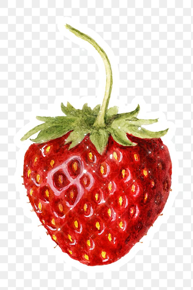 Hand drawn sparkling strawberry sticker with white border