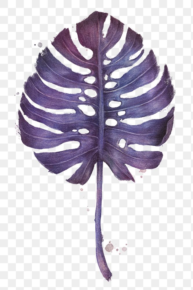Purple monstera leaf watercolor style overlay