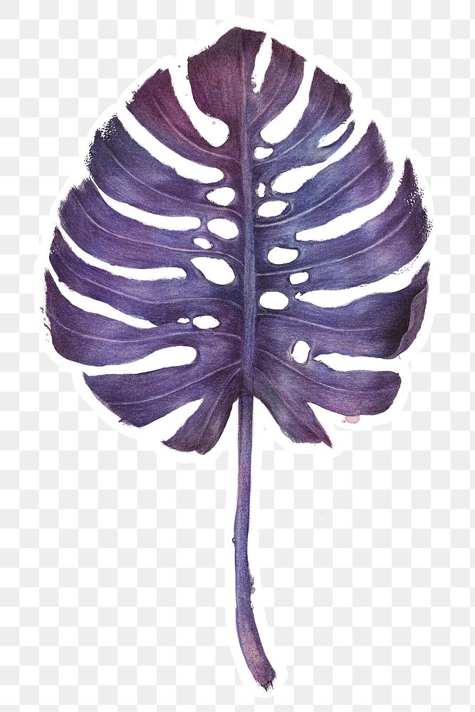Purple monstera leaf watercolor style sticker overlay with white border