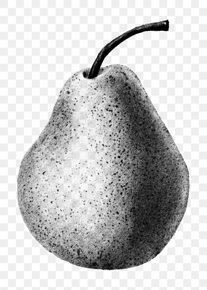 Hand drawn pear sticker overlay