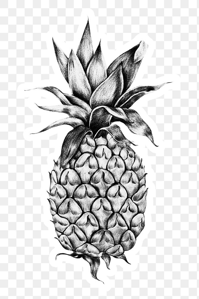 Pineapple drawing style sticker overlay with white border