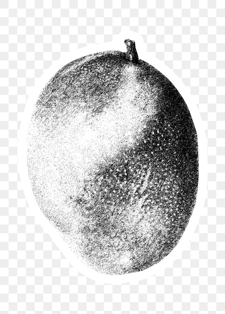 Hand drawn black and white mango fruit sticker with white border