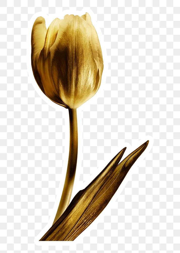 Gold tulip flower sticker with a white border