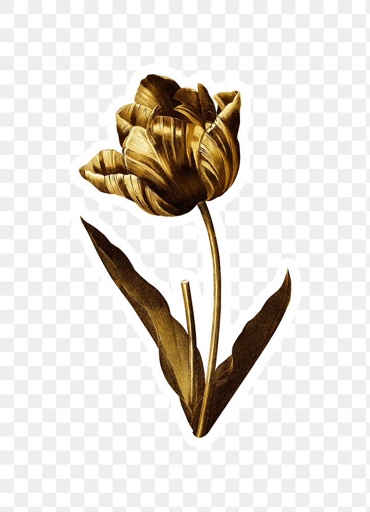 Gold tulip flower sticker with a white border
