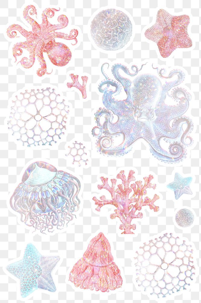 Set of holographic marine life sticker overlay design element