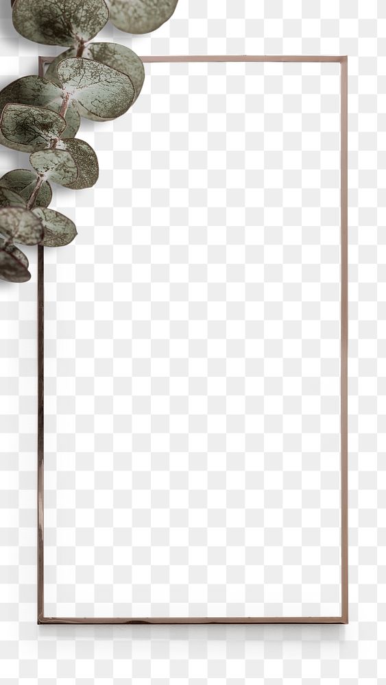 Png round leaf eucalyptus gold frame