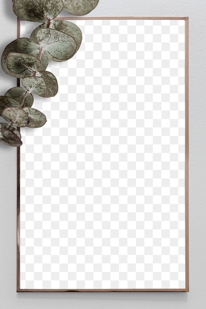 Png eucalyptus gold frame gray background