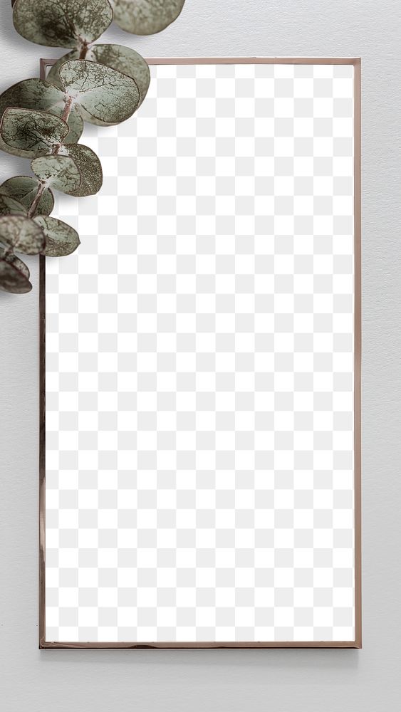 Png eucalyptus frame transparent background