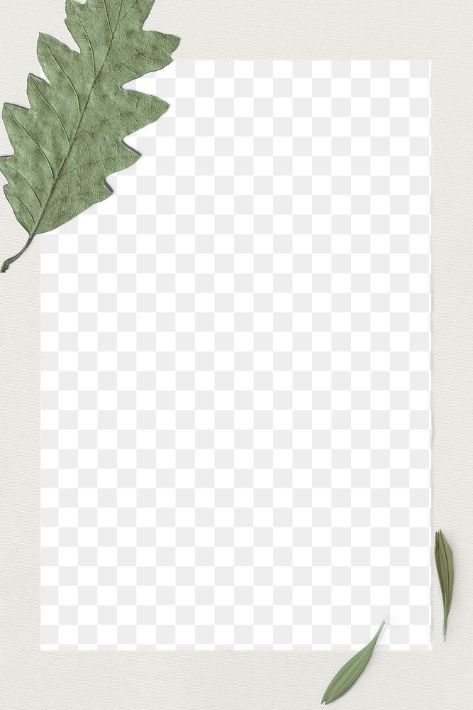 Dried leafy border frame png