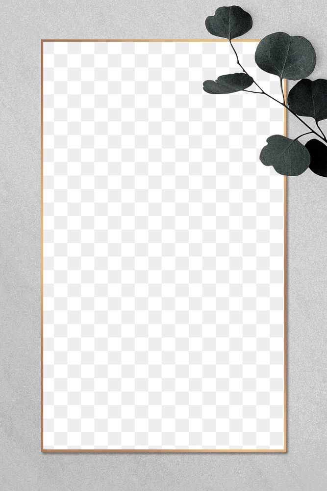 Png gray eucalyptus frame transparent background