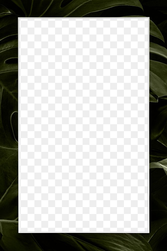 Png blank green leafy frame