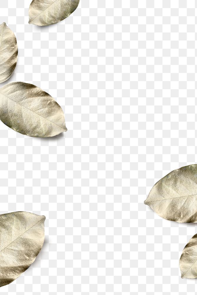 Gold spray painted leaves png background