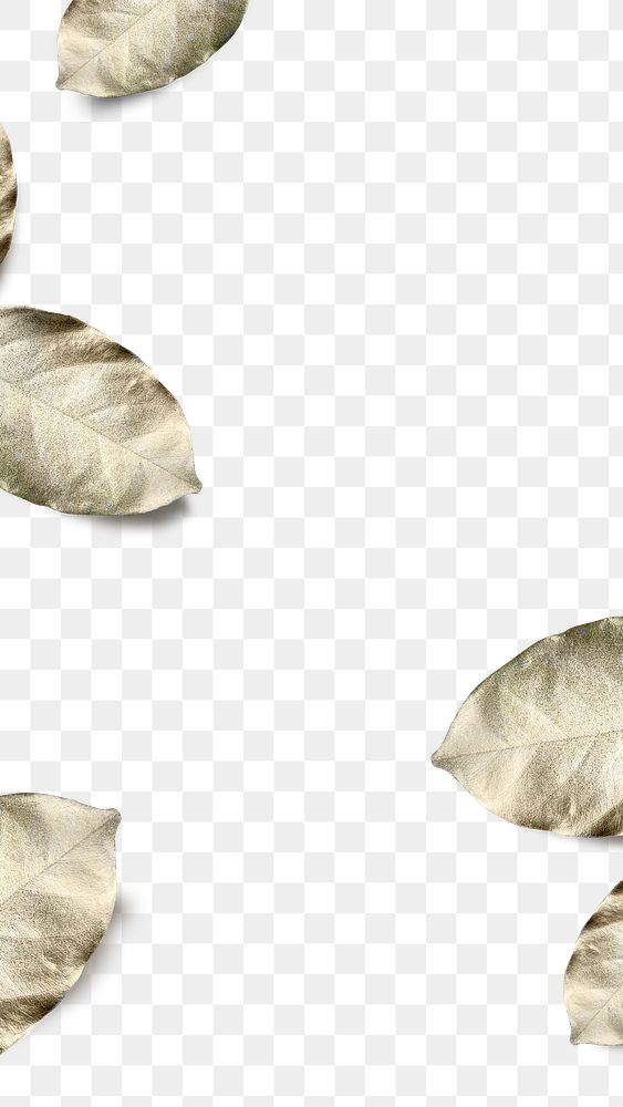 Gold spray paint leaves png transparent background