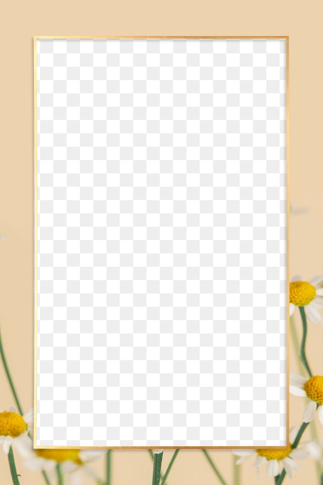 Gold daisy frame design element 