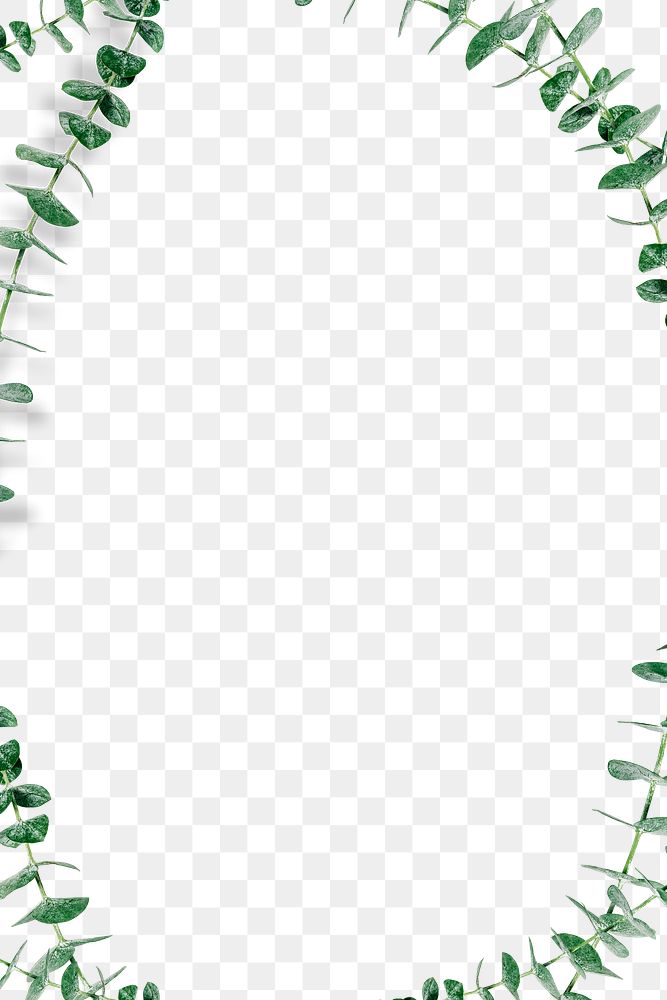 Botany eucalyptus frame design element 