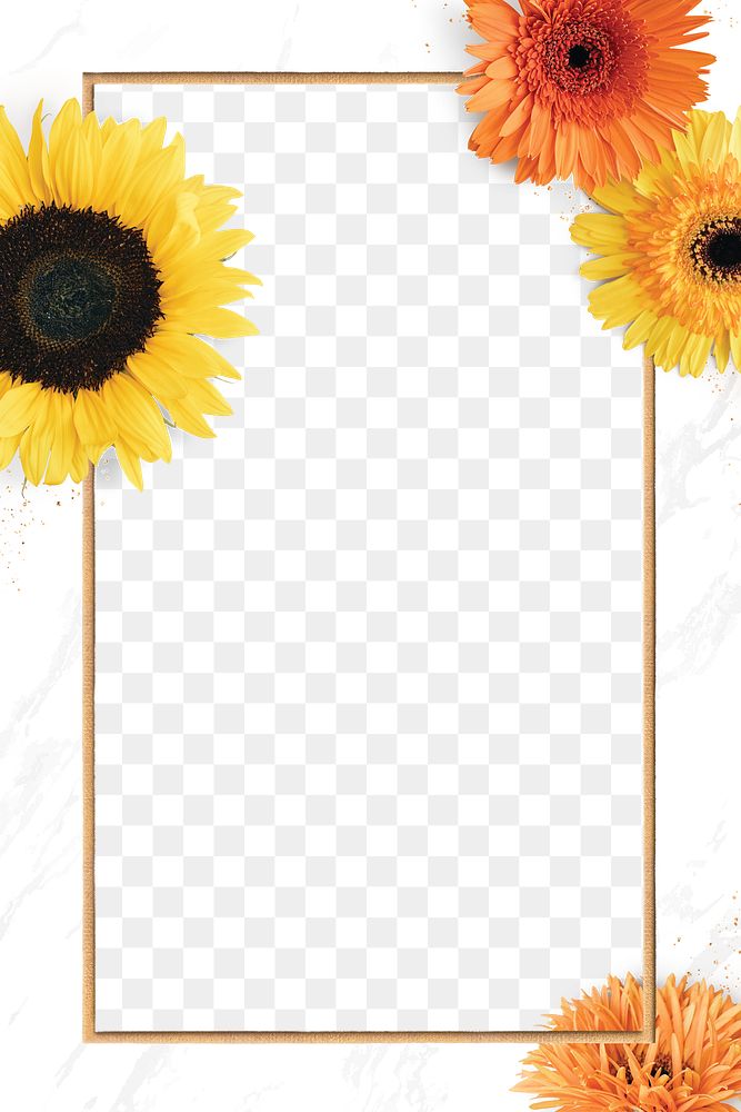 Gold rectangle blooming sunflower frame design element