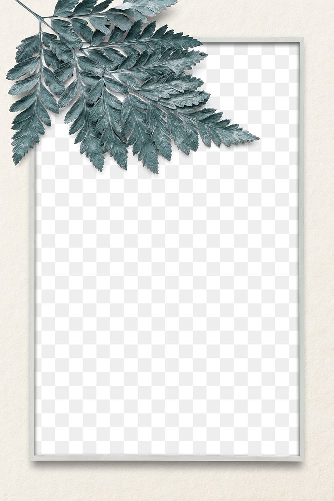 Leatherleaf fern png frame transparent background