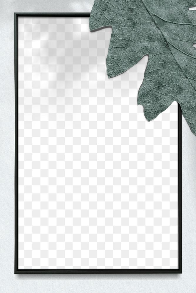 Png oak leaf frame background