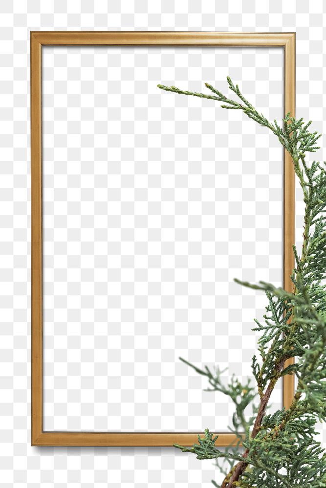 Gold frame spruce twig png