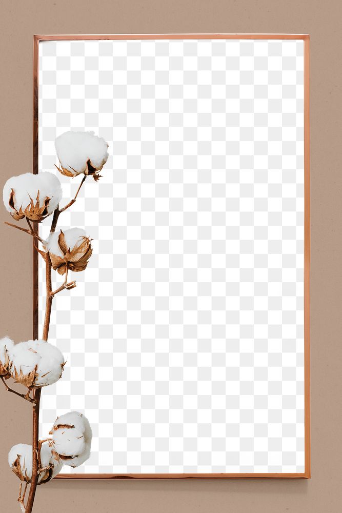 PNG cotton flower natural frame design