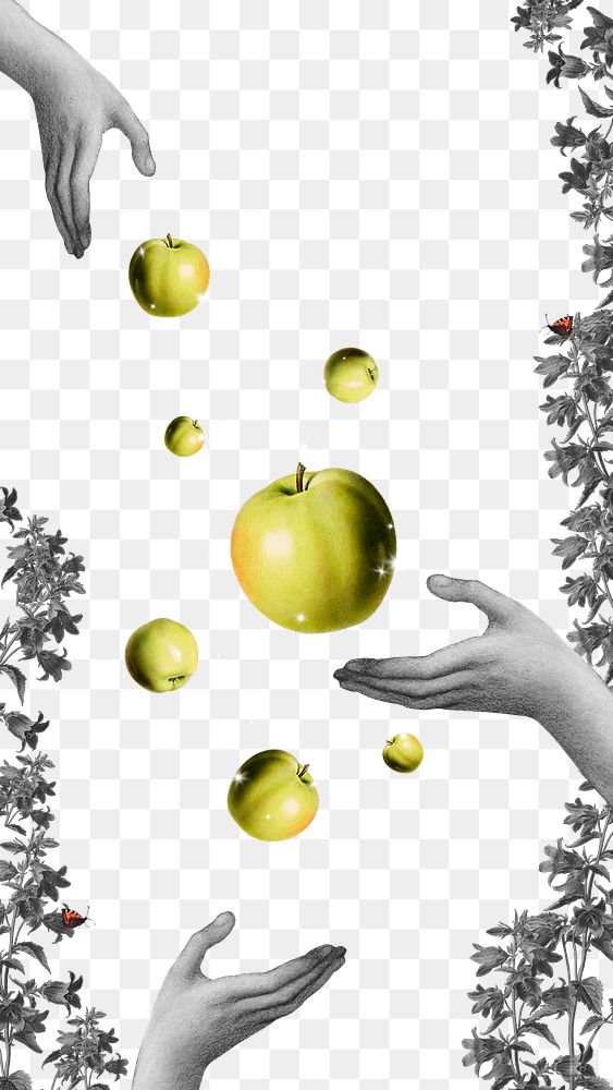 Hands throwing green apples png illustration 