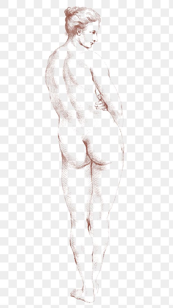 Back view naked woman png