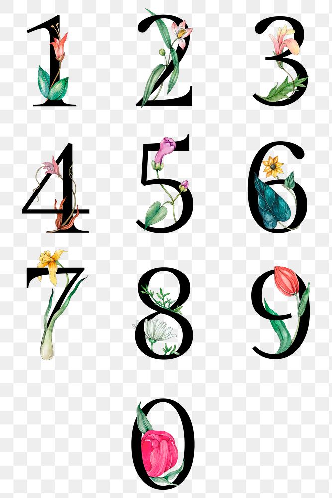 Png 123 number set floral decorated typography