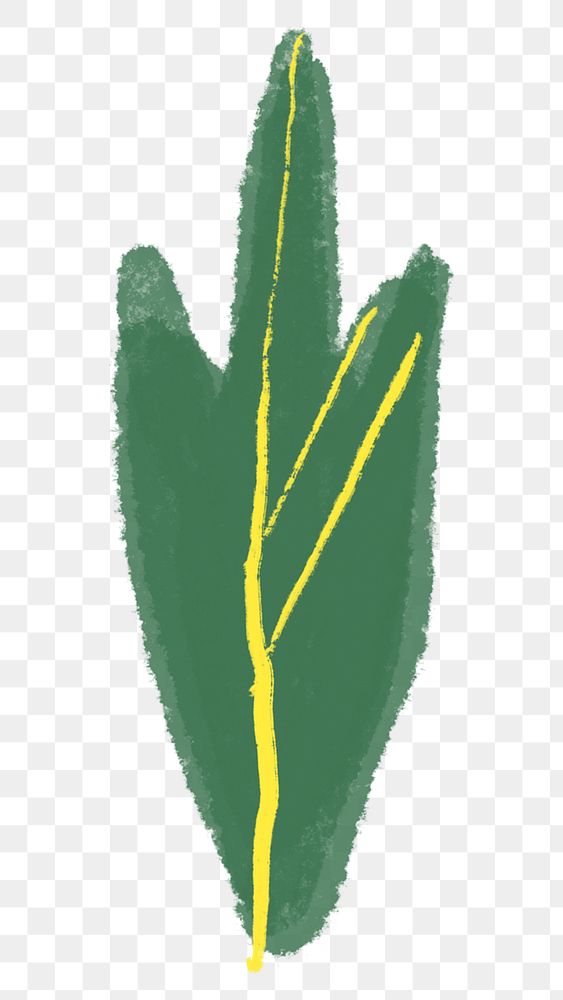 Green leaf png botanical hand drawn
