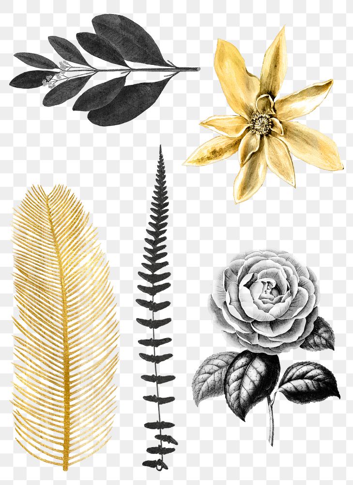 Black and gold png flowers leaf sticker pack