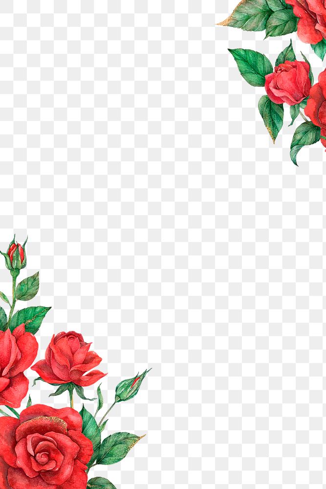 Rose border frame png transparent background
