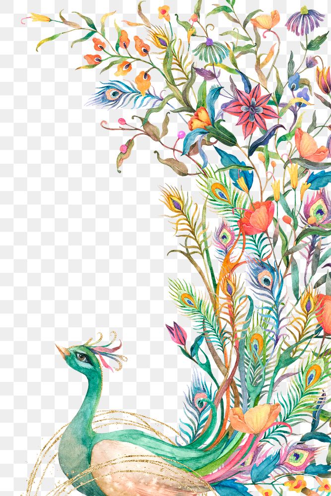 Png watercolor peacock border on transparent background