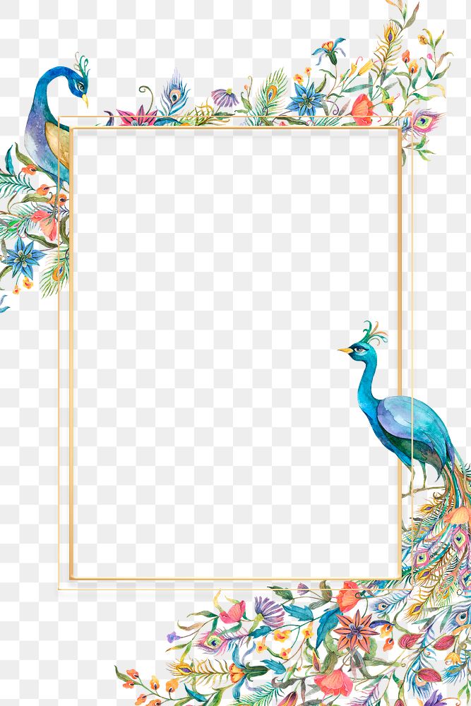 Png frame with watercolor peacock and flower pattern