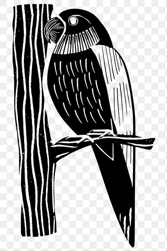 Vintage parrot png bird sticker hand drawn 