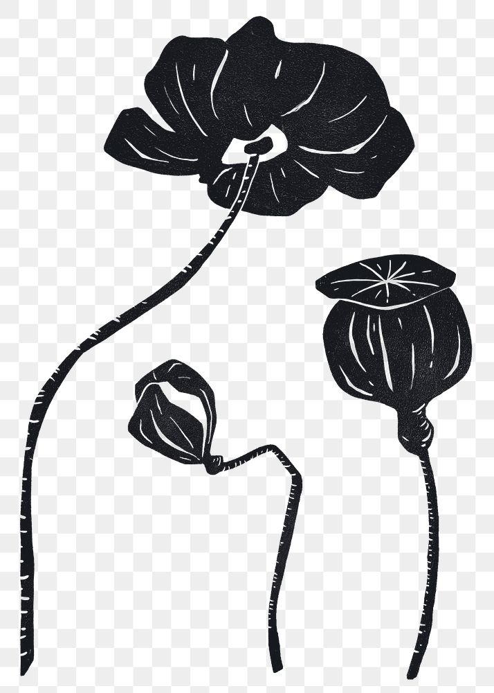 Vintage blooming flower png sticker black linocut clipart