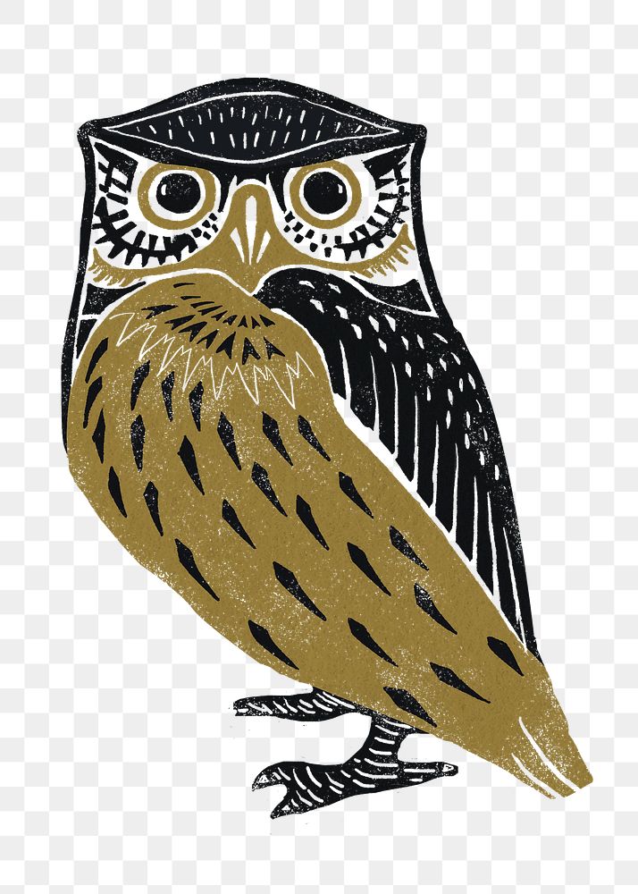 Owl bird stencil pattern png sticker drawing