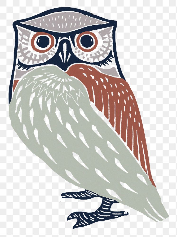 Colorful owl png bird sticker vintage stencil pattern