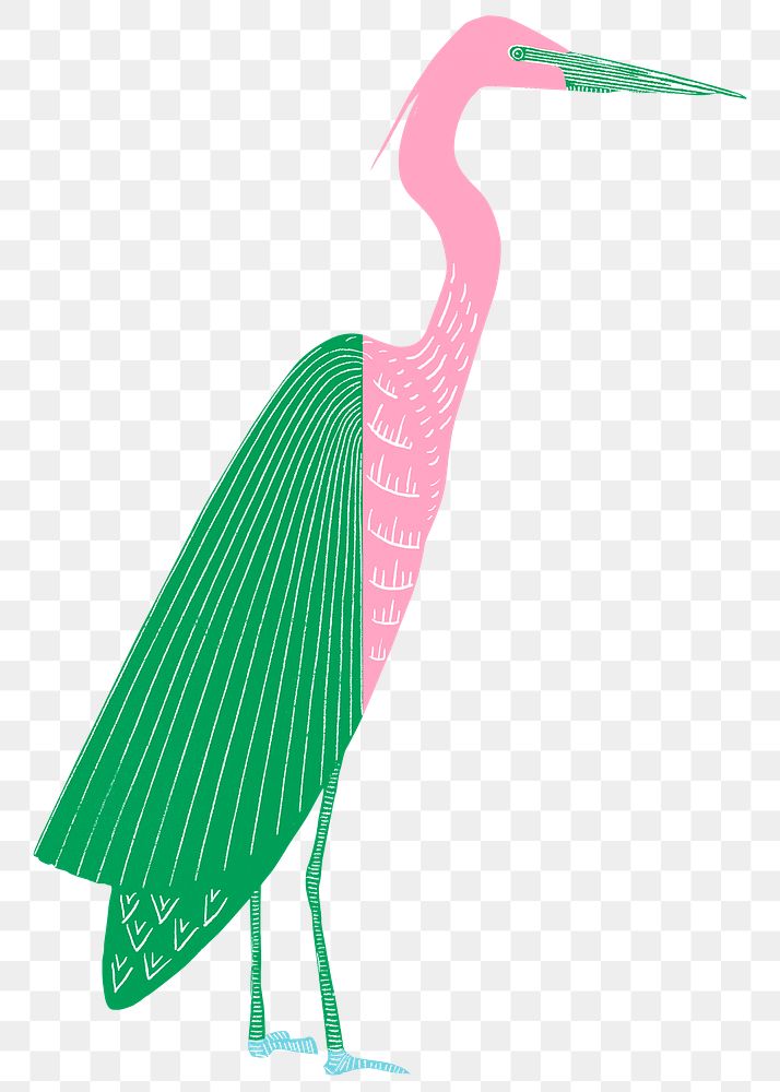 Green pink heron png sticker vintage bird clipart