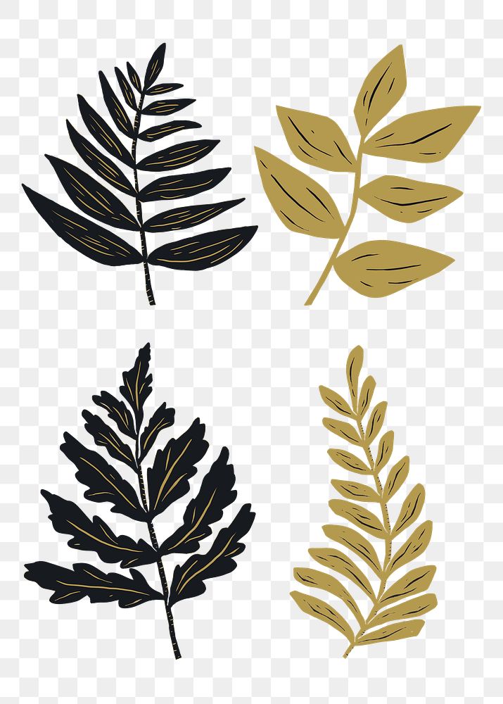 Gold black plant png sticker botanical clipart collection