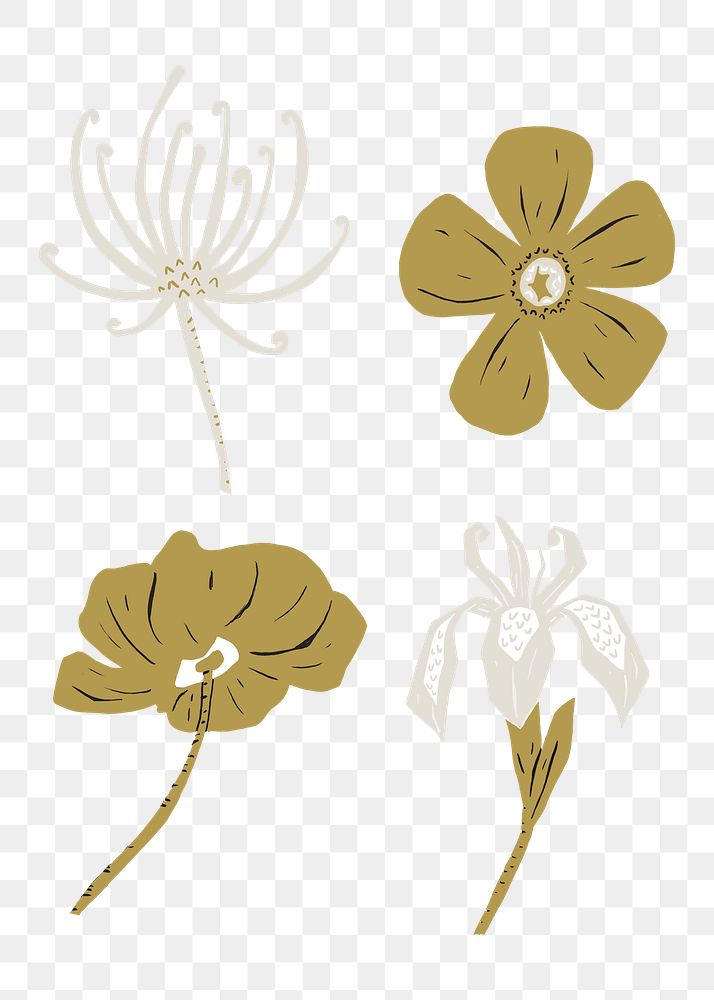Gold flower png sticker botanical clipart collection