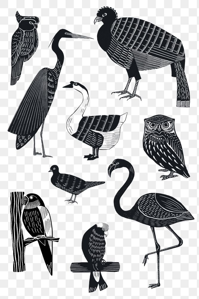 Birds png sticker black linocut stencil pattern clipart collection