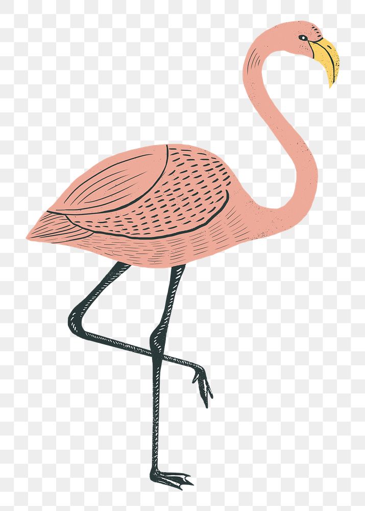 Tropical bird peach flamingo png sticker vintage linocut drawing